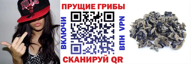 купить  сайты  Хабаровск  Галлюциногенные грибы MAGIC MUSHROOMS 
