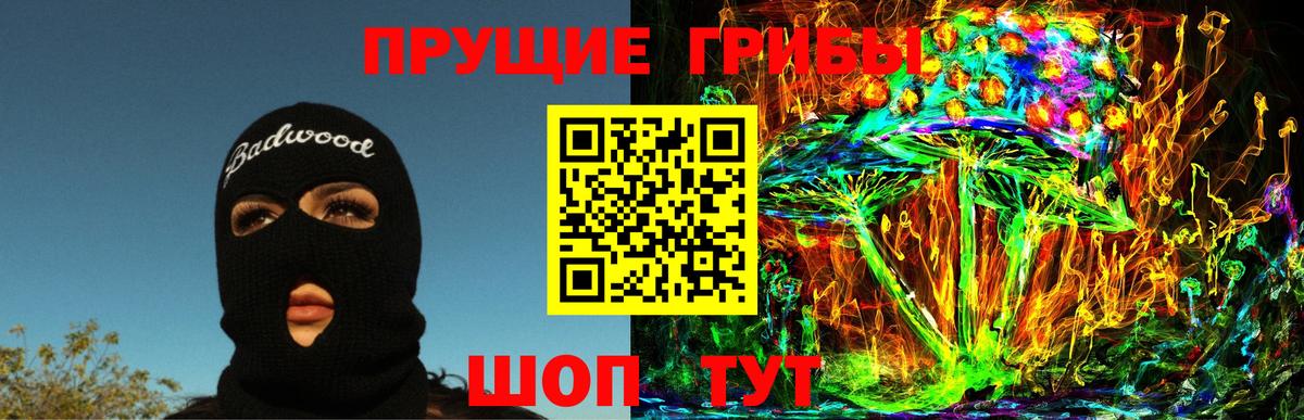 Галлюциногенные грибы Psilocybe Хабаровск